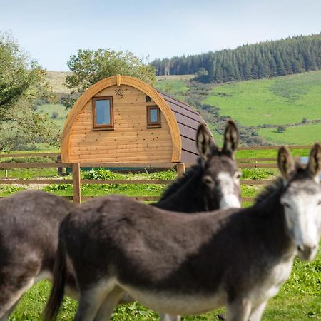 Kilbane Glamping Villa Exterior photo