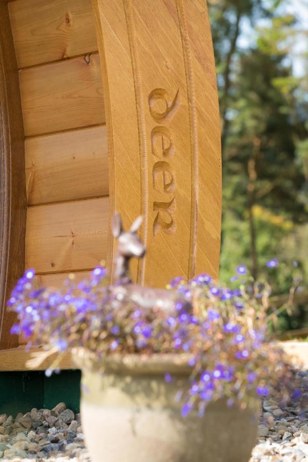 Kilbane Glamping Villa Exterior photo