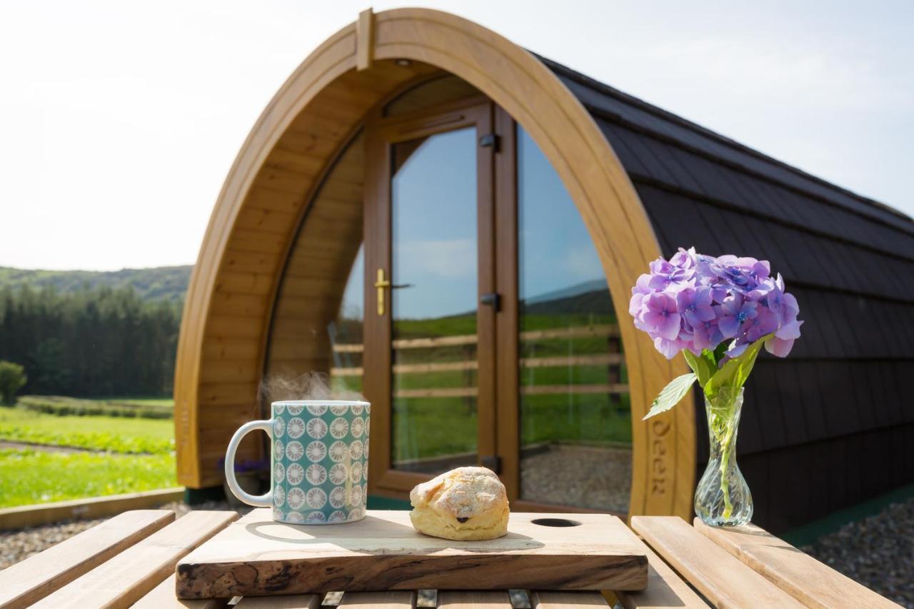 Kilbane Glamping Villa Exterior photo