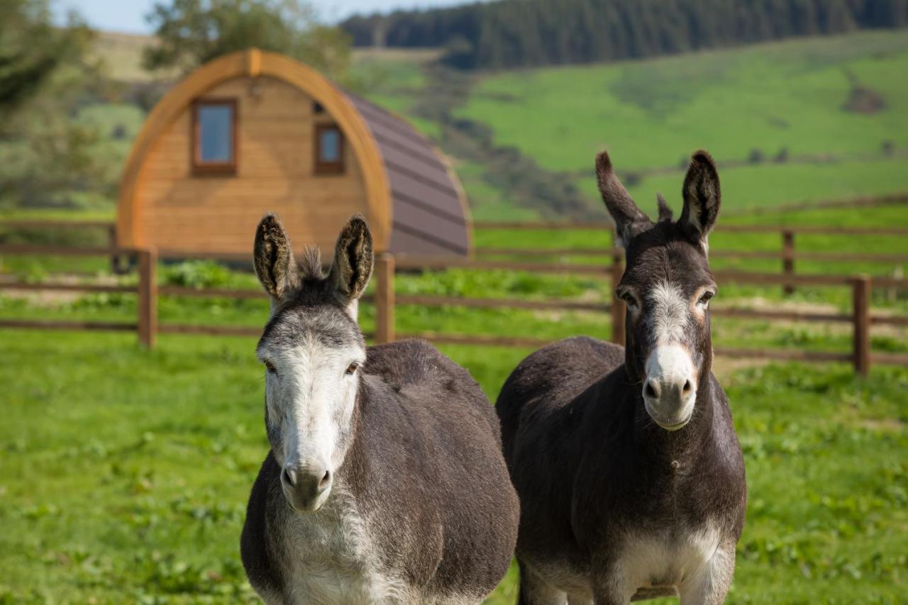 Kilbane Glamping Villa Exterior photo