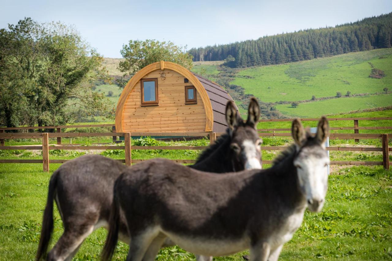 Kilbane Glamping Villa Exterior photo